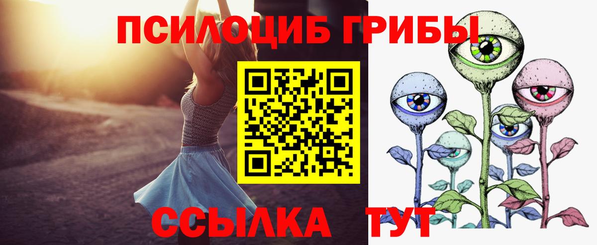 Псилоцибиновые грибы MAGIC MUSHROOMS  Галлюциногенные грибы прущие грибы  наркота  Балашиха  Вход с VPN 